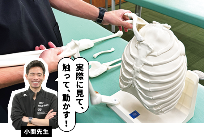テーピングスキル