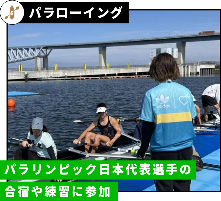 パラローイング